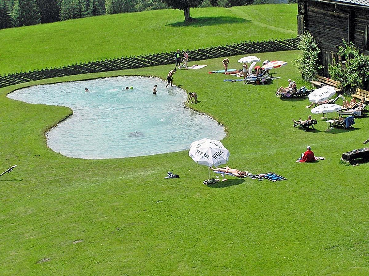 Almliesl HOLL-556 Villa Hollersbach im Pinzgau Dış mekan fotoğraf